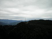 P6180011.JPG