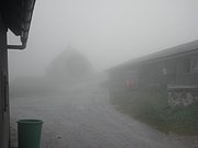P6180046.JPG
