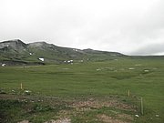 P6190078.JPG