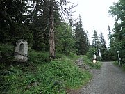 P6190085.JPG