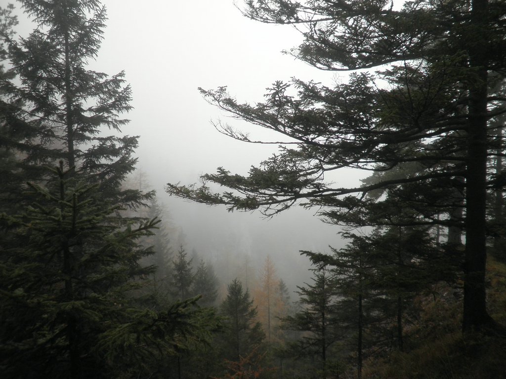 PA290007.JPG