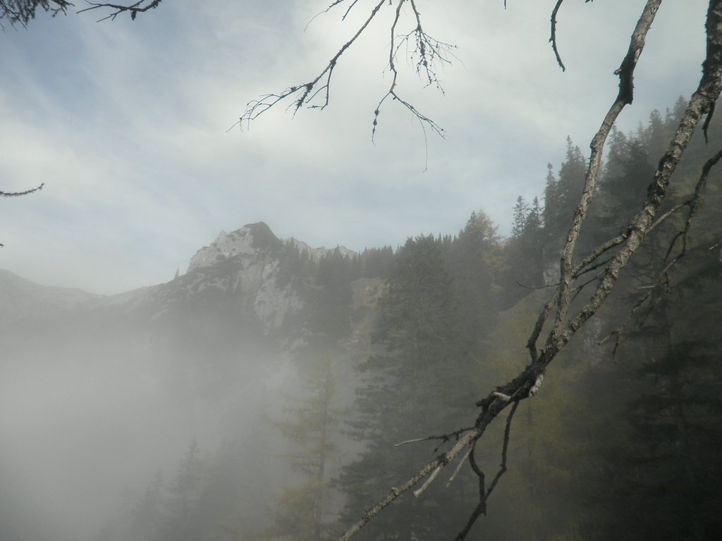 PA290009.JPG