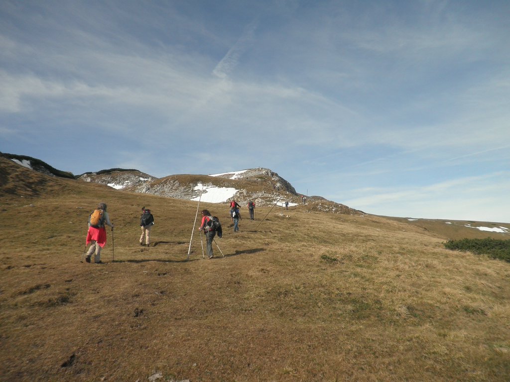 PA290041.JPG