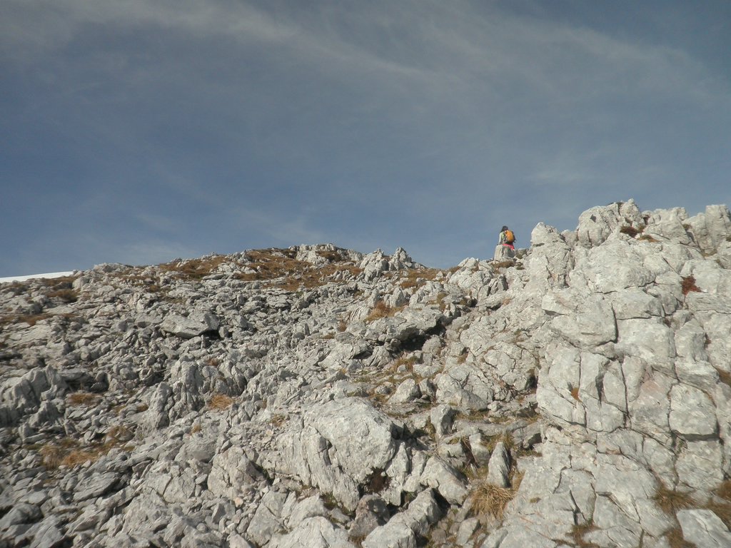 PA290045.JPG