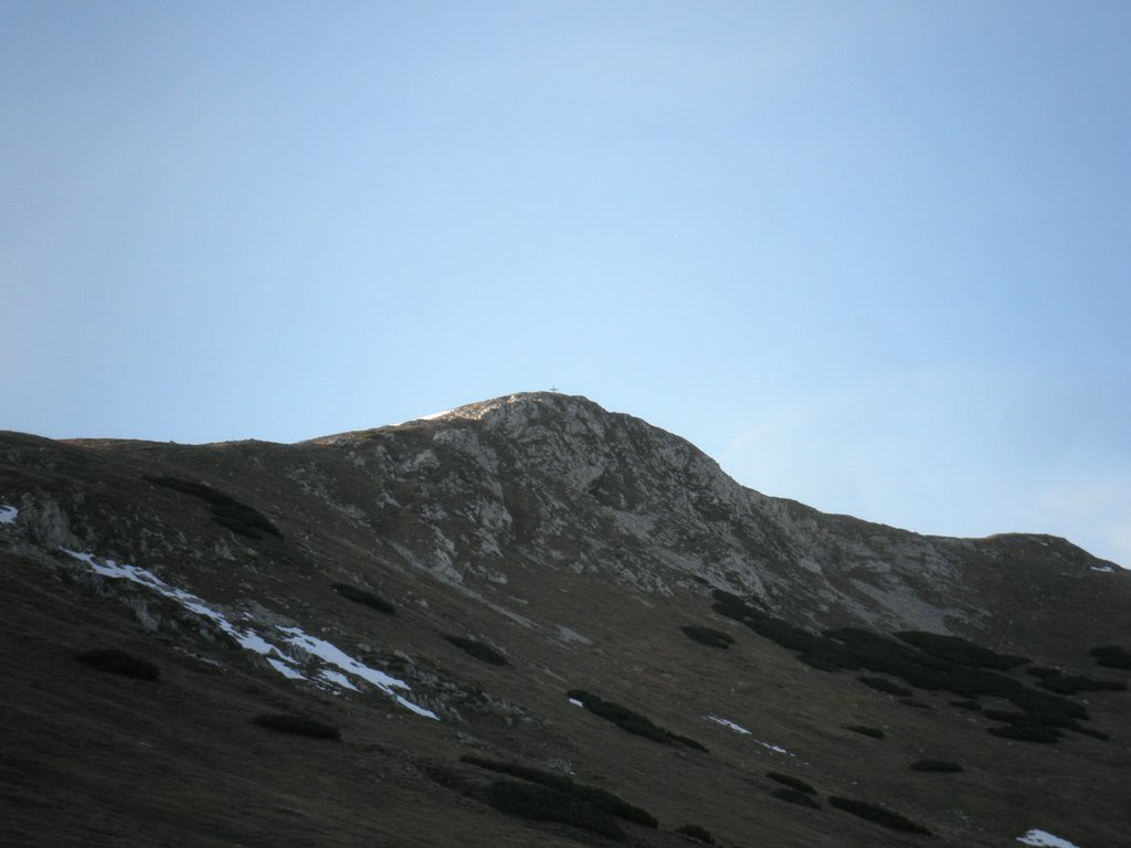 PA290074.JPG