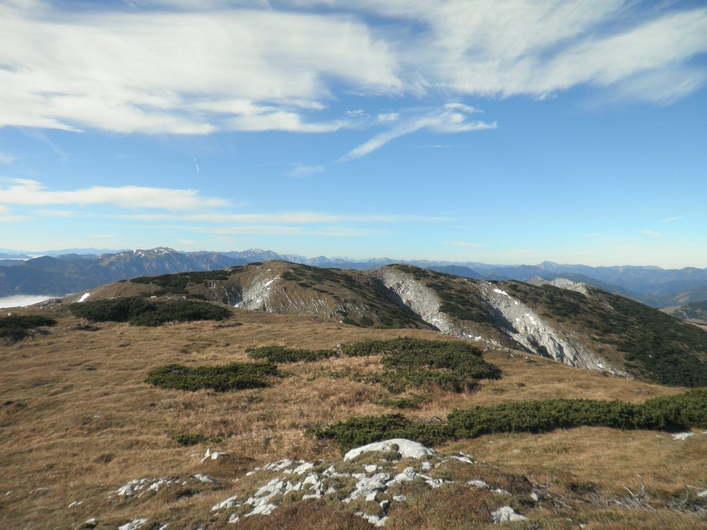 PA300138.JPG