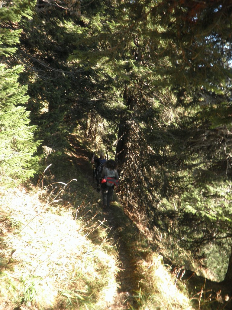 PA300162.JPG