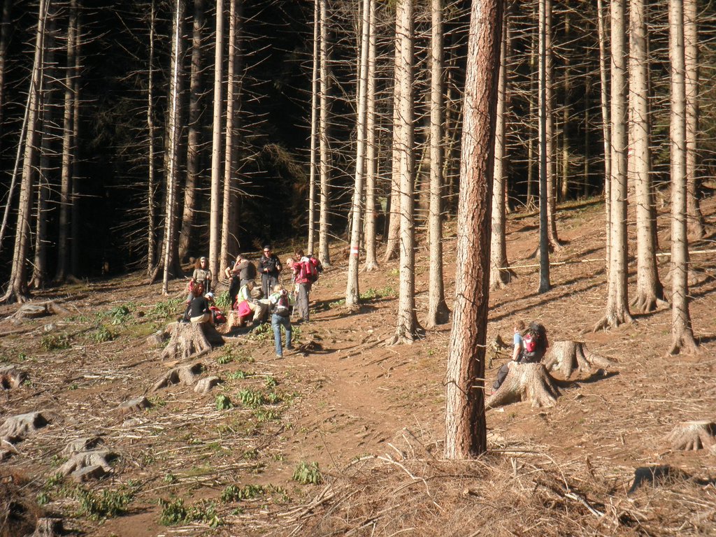 PA300164.JPG