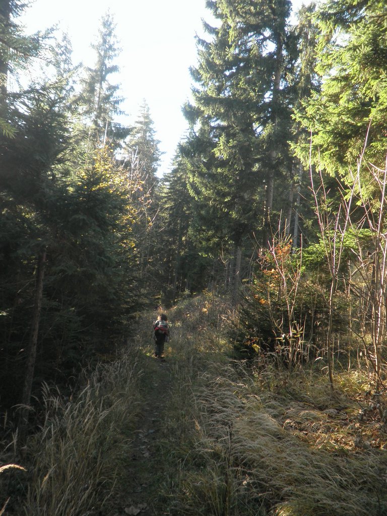 PA300167.JPG