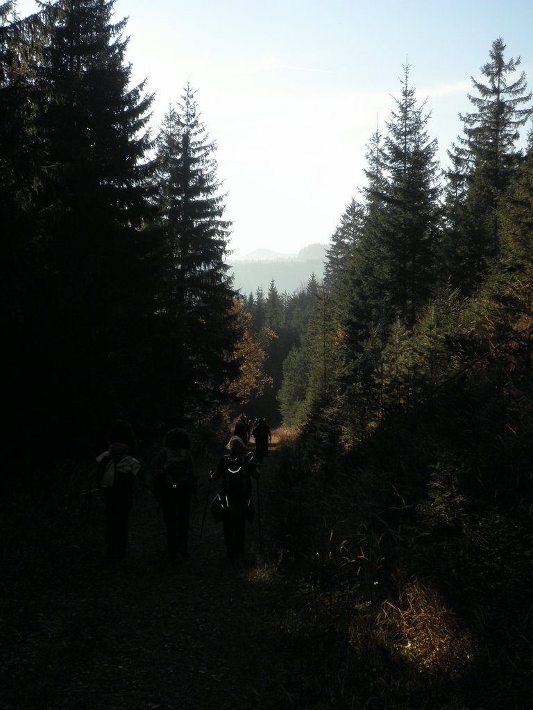 PA300169.JPG