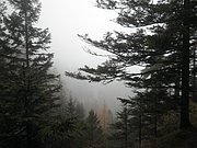PA290007.JPG