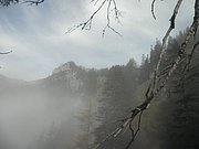 PA290009.JPG