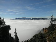 PA290024.JPG