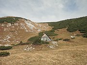 PA290033.JPG