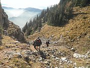 PA300159.JPG