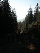 PA300169.JPG