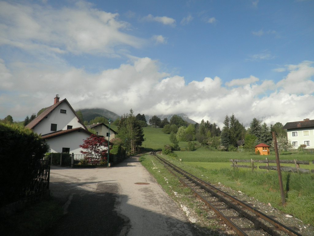 P5110001.JPG