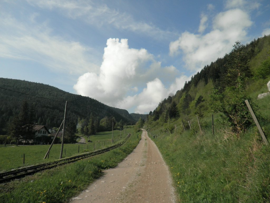 P5110003.JPG
