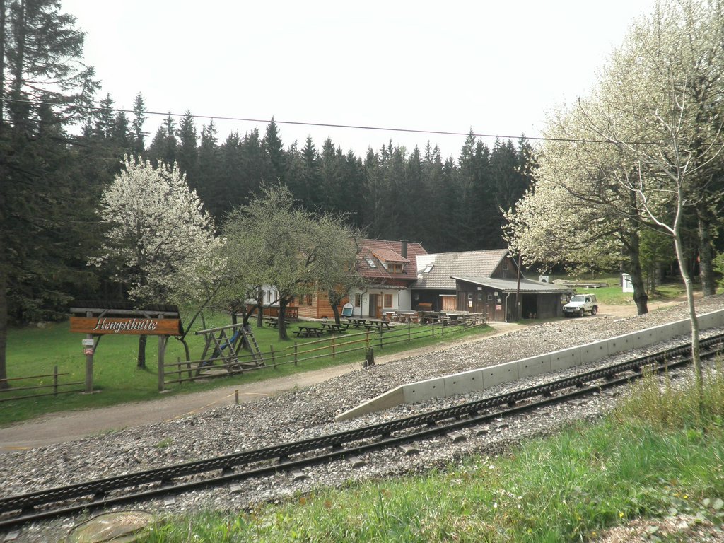 P5110010.JPG