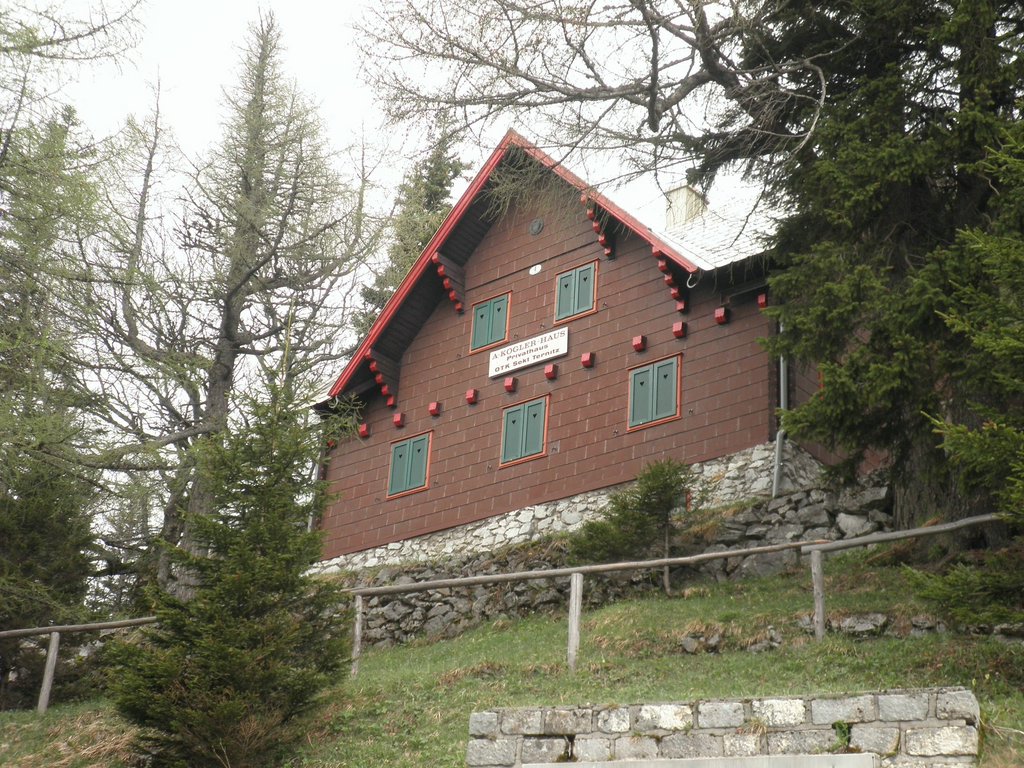 P5110014.JPG