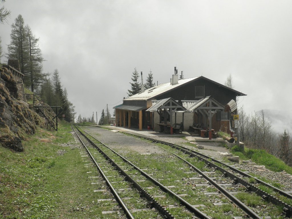P5110019.JPG