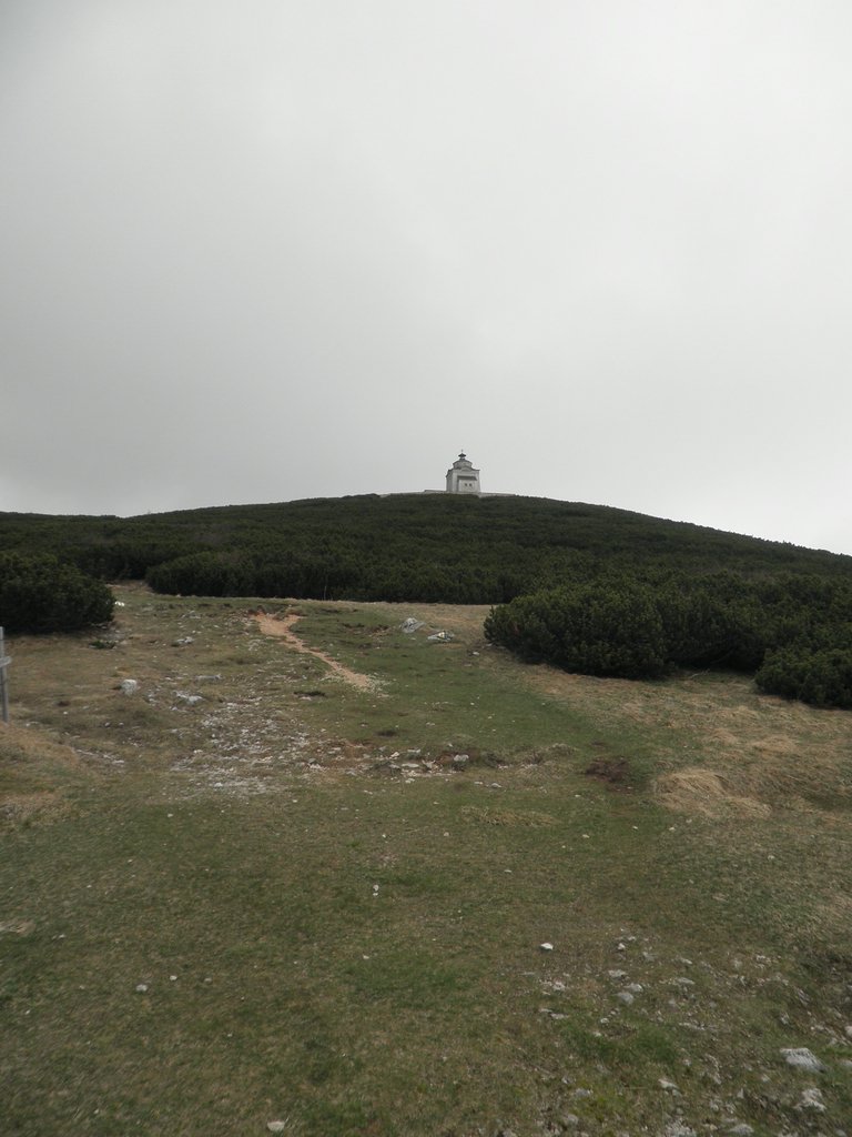 P5110041.JPG