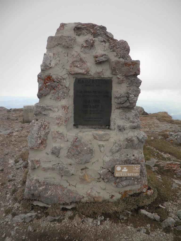 P5110093.JPG