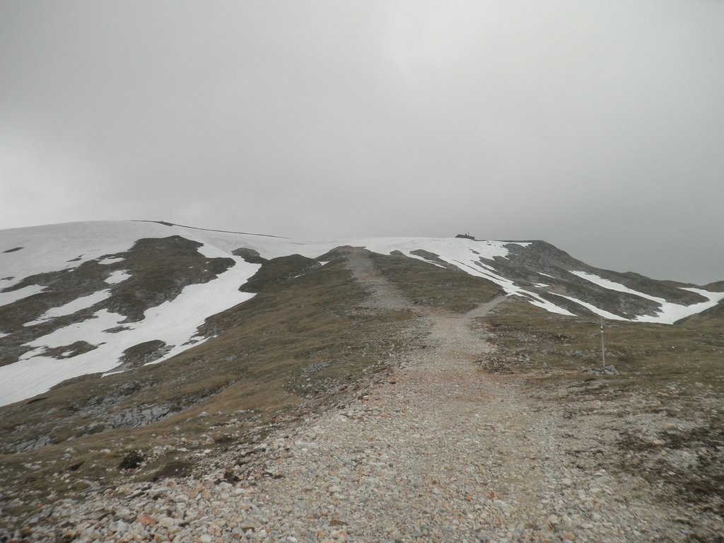 P5110103.JPG