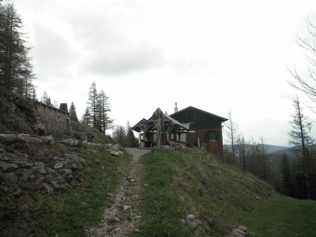 P5110116.JPG