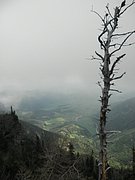 P5110031.JPG