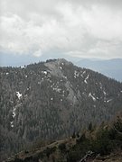 P5110033.JPG