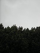 P5110039.JPG