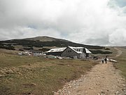 P5110061.JPG