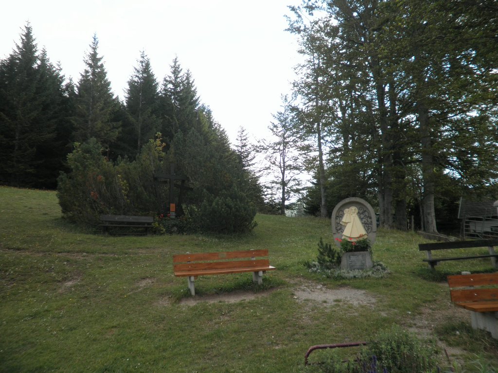 P9110096.JPG