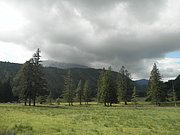 P9110095.JPG