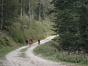 P9110105.JPG