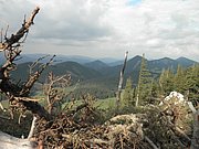 P9110127.JPG