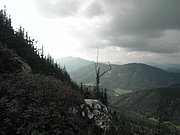 P9110132.JPG