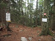 P9110144.JPG