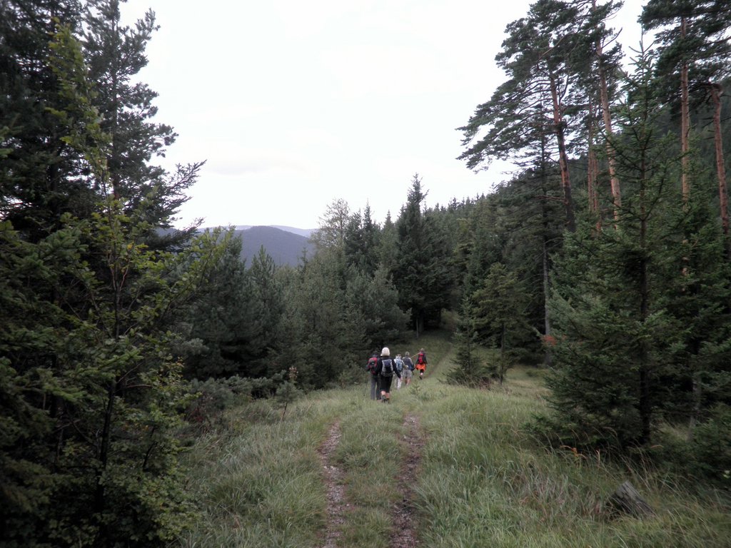 P8290007.JPG
