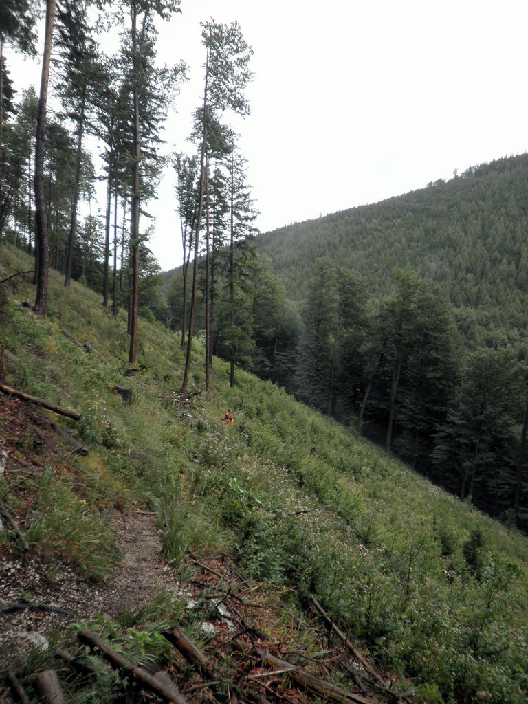 P8290016.JPG