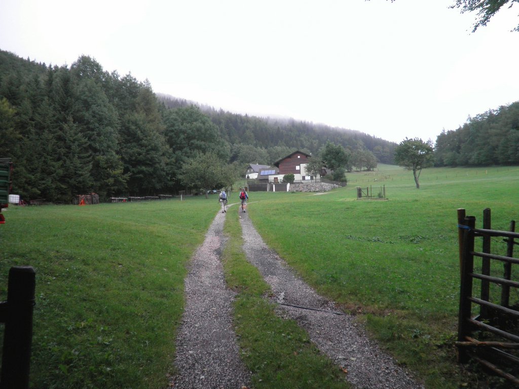 P8290017.JPG