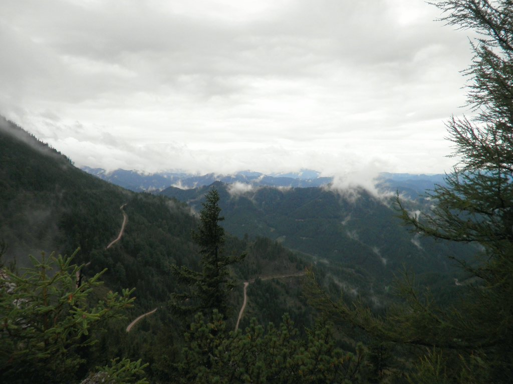 P8290026.JPG