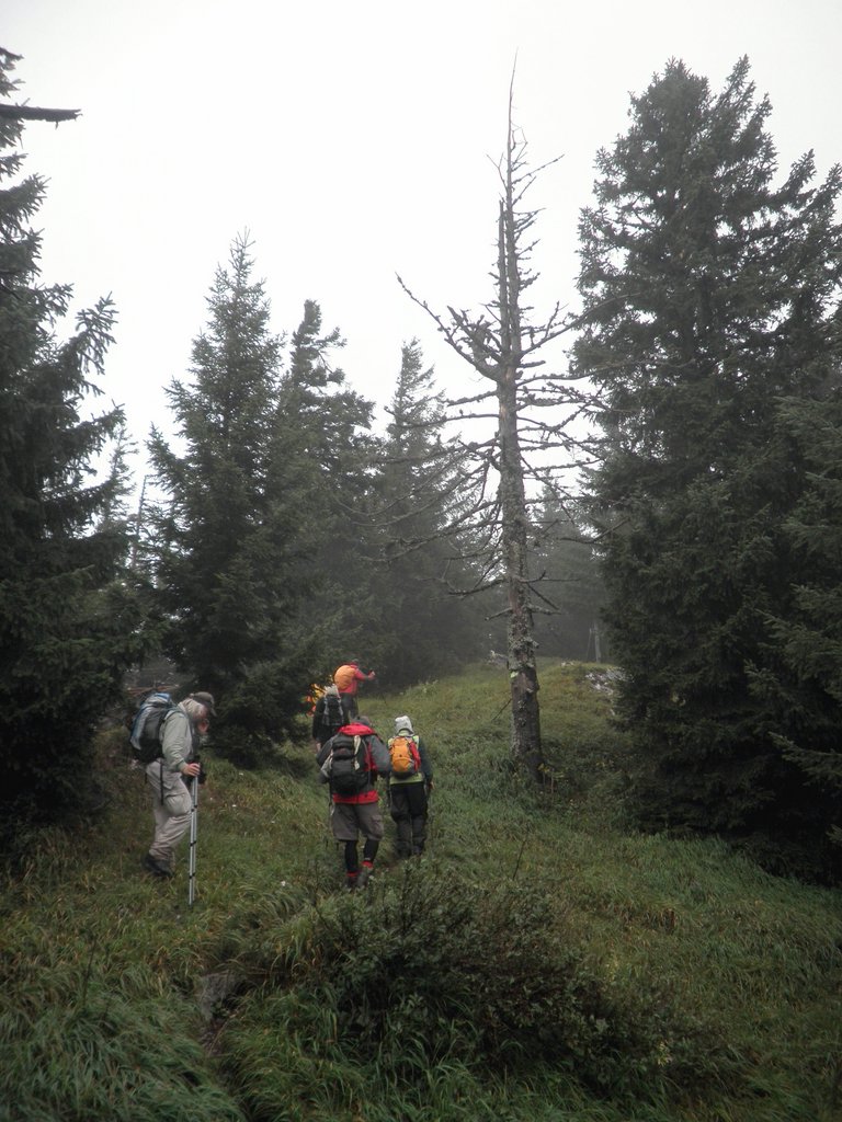 P8290049.JPG