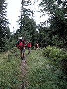 P8290005.JPG