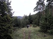 P8290007.JPG