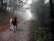 P8290010.JPG