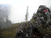 P8290021.JPG