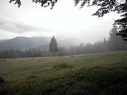 P8290024.JPG