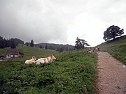P8290039.JPG